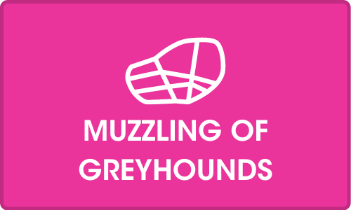 Click for more on Muzzling of greyhounds