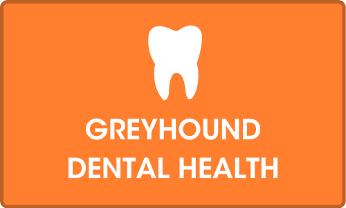 Click for more on Greyhound dental health