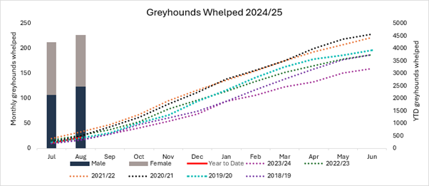 Greyhounds Whelped August 2024