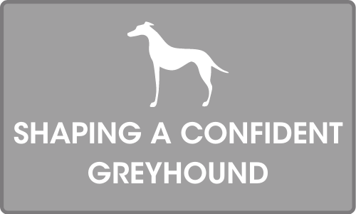 Click for more on Shaping a confident greyhound