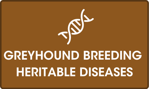 Click for more on Greyhound breeding - heritable diseases