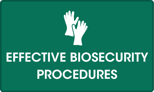 Click for more on Effective biosecurity procedures