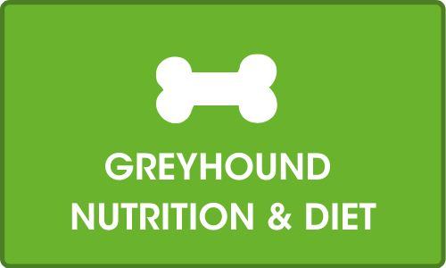 Click for more on Greyhound Nutrition and Diet