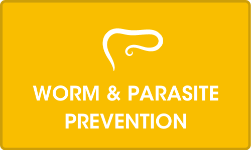 Click for more on Worming and parasite prevention