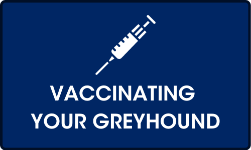 Click for more on Vaccinating your greyhound