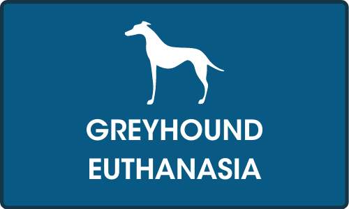 Click for more on Greyhound euthanasia